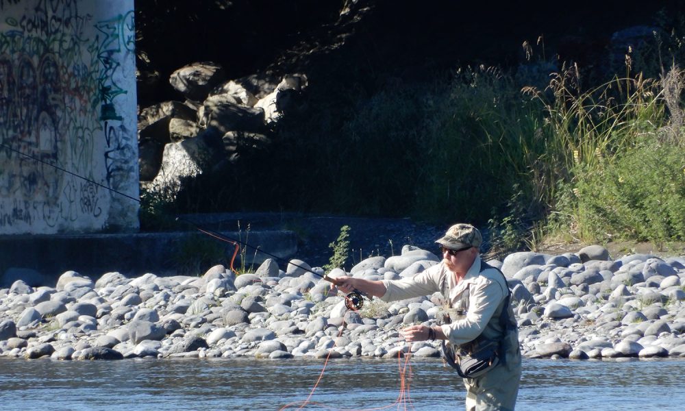 Little Green Tours Central Plateau Private Guided Tour Fly Fishing