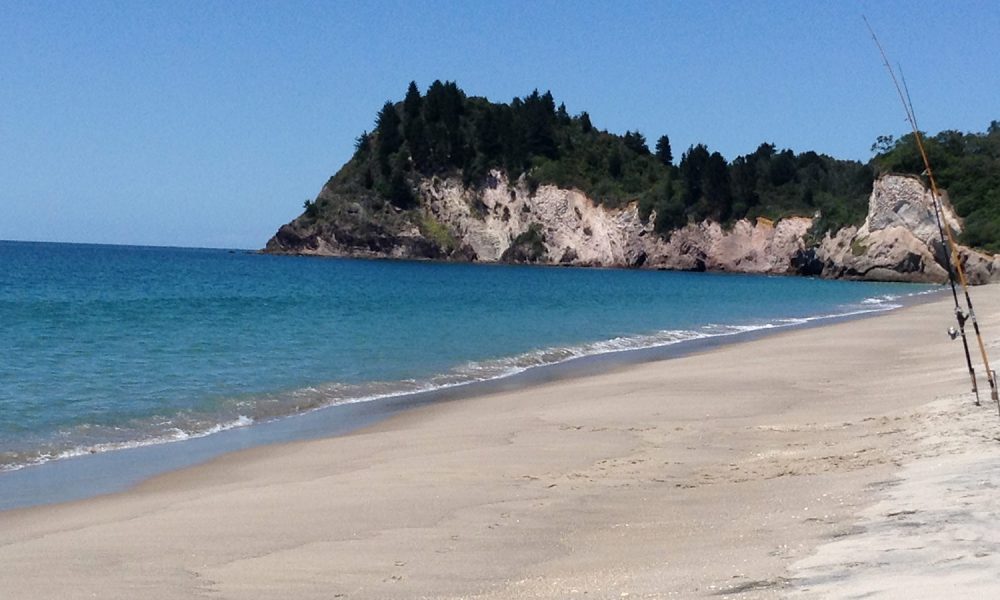 North Island Bespoke Tour Itinerary Guided Private Tour Nz Beaches